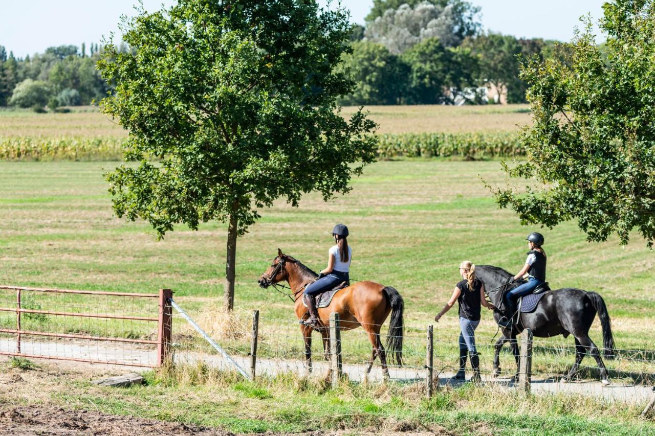 B@B Martinushoeve Oudenaarde Buitenkant foto