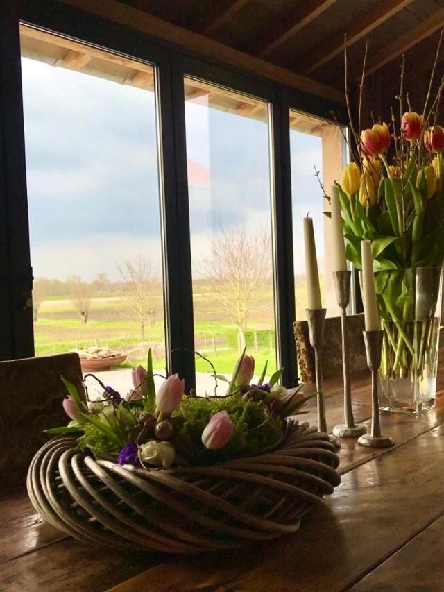 B@B Martinushoeve Oudenaarde Buitenkant foto