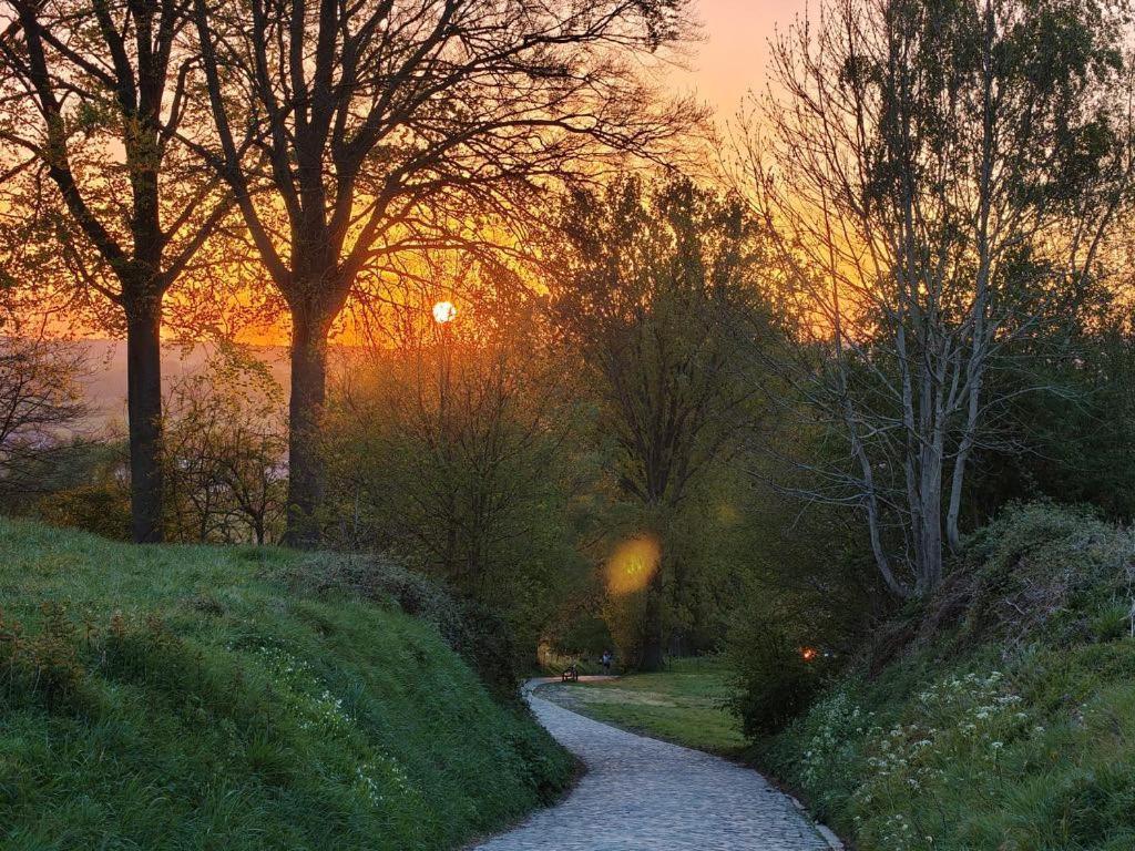 B@B Martinushoeve Oudenaarde Buitenkant foto